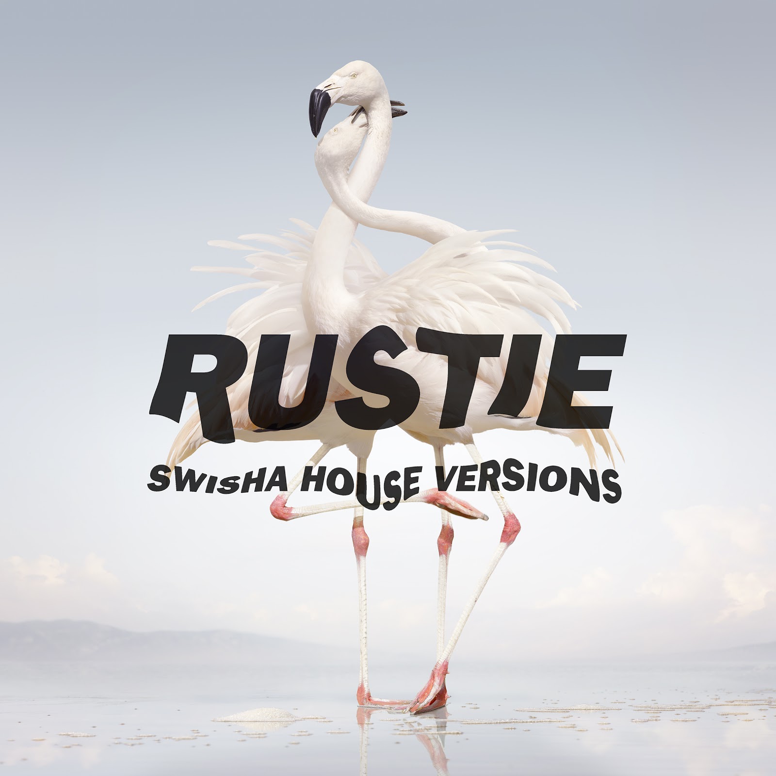 Rustie download