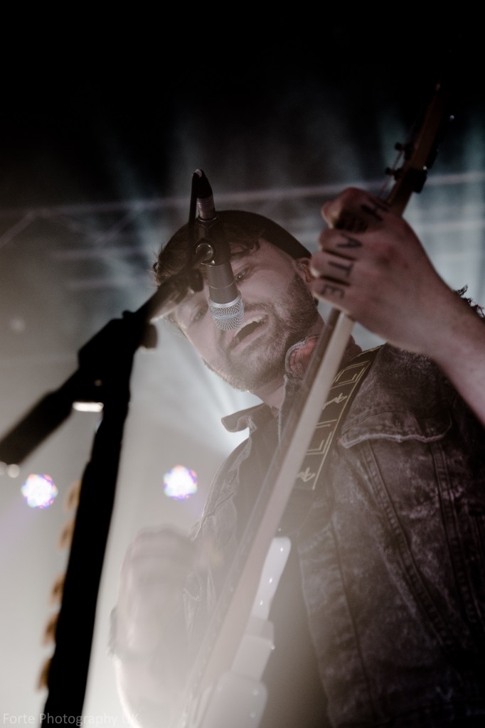 watermark-84