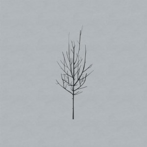 low album cover