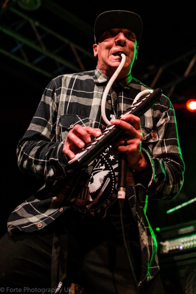 Hed Pe-6