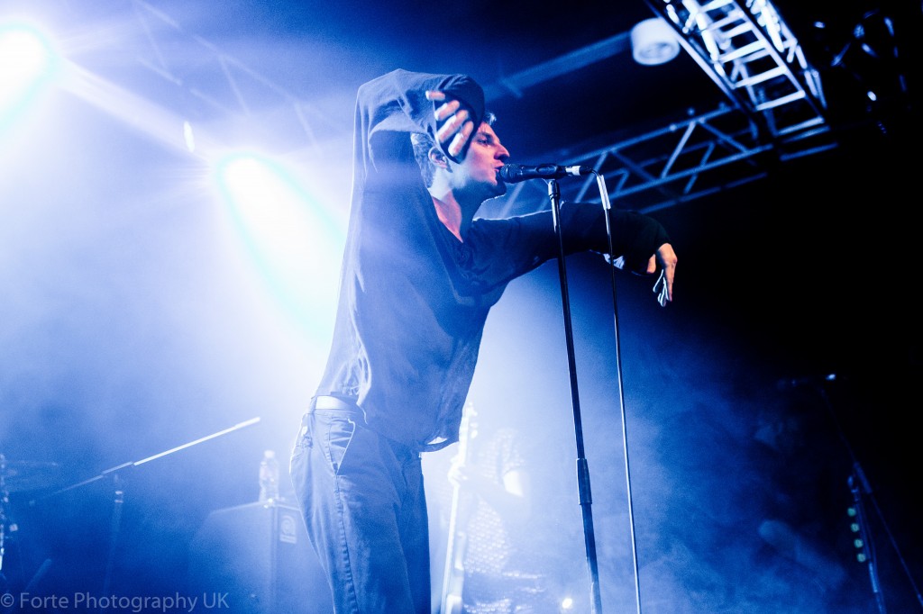 The Maine-3