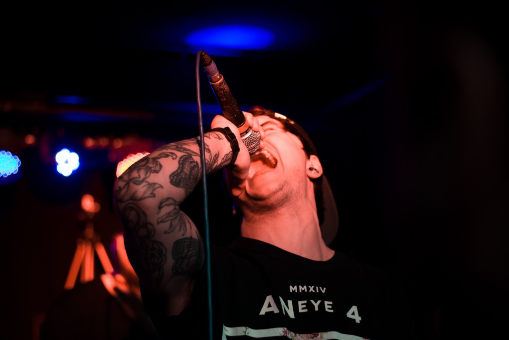 faultlines 9