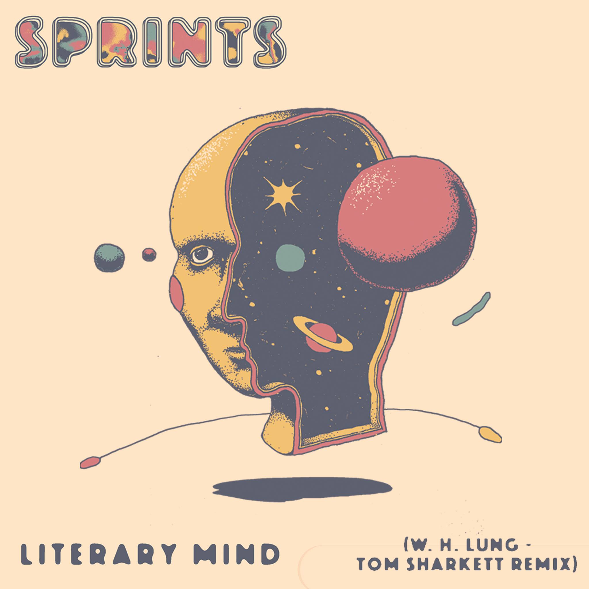 Literary Mind - remix cover art