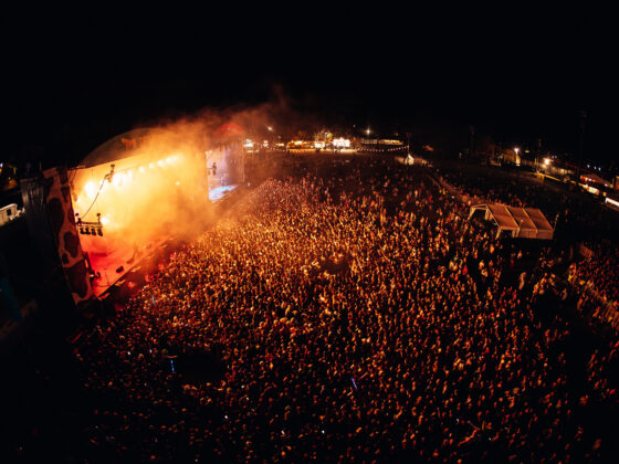 Groovin the Moo
