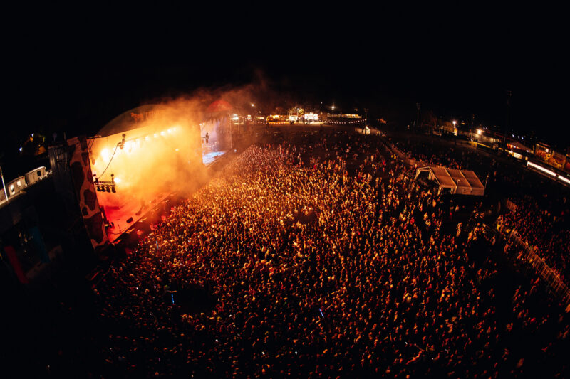 Groovin the Moo