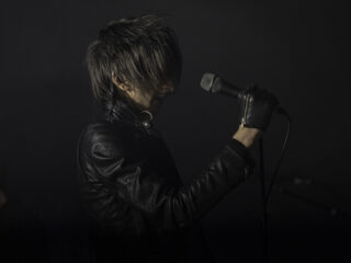 The Horrors