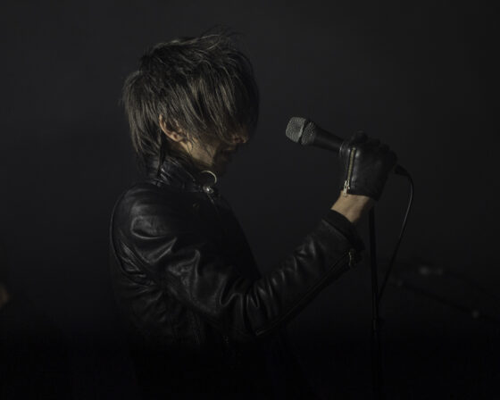 The Horrors