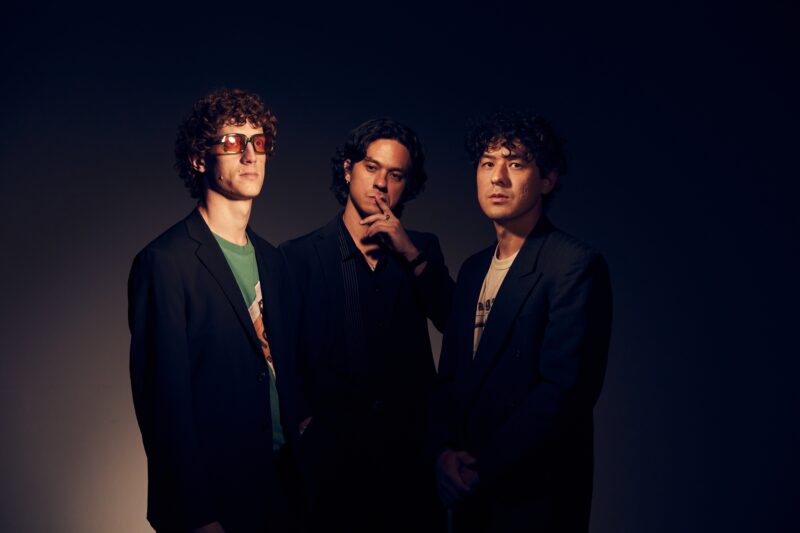 The Last Dinosaurs