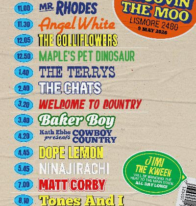 Groovin the Moo