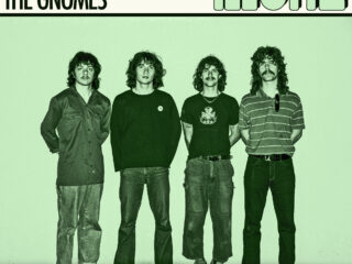 The Gnomes