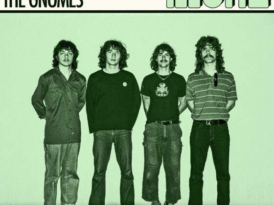 The Gnomes