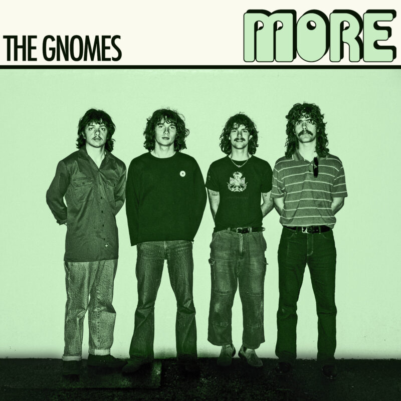 The Gnomes