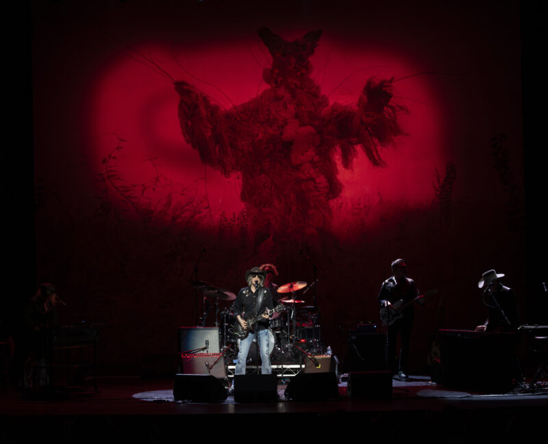 The Waterboys