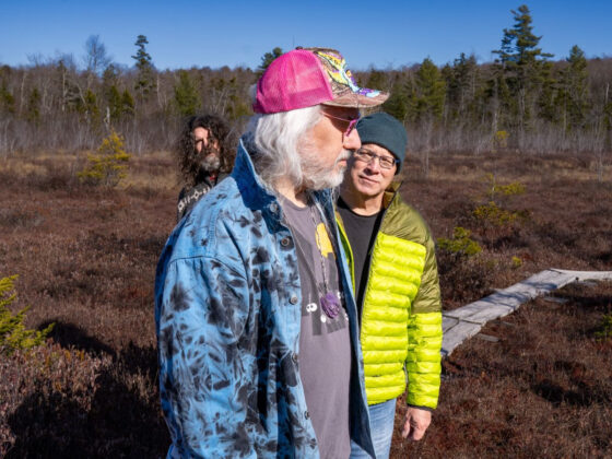 Dinosaur Jr.