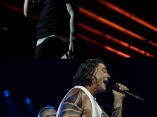 shinedown bush