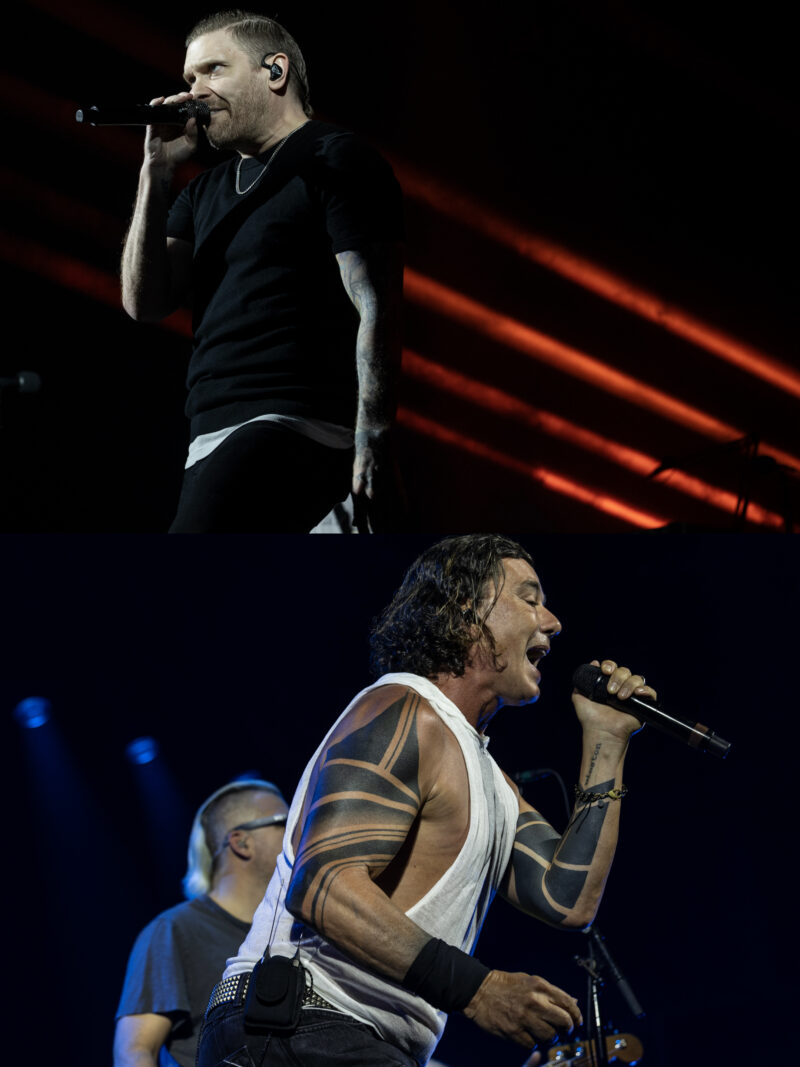 shinedown bush