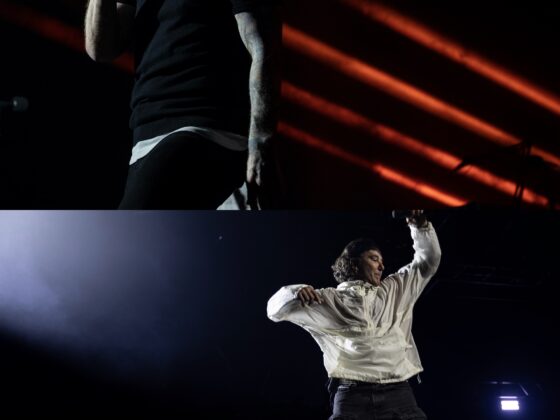 Shinedown Bush
