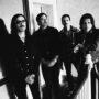 Kings of Leon