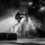 Lamb of God